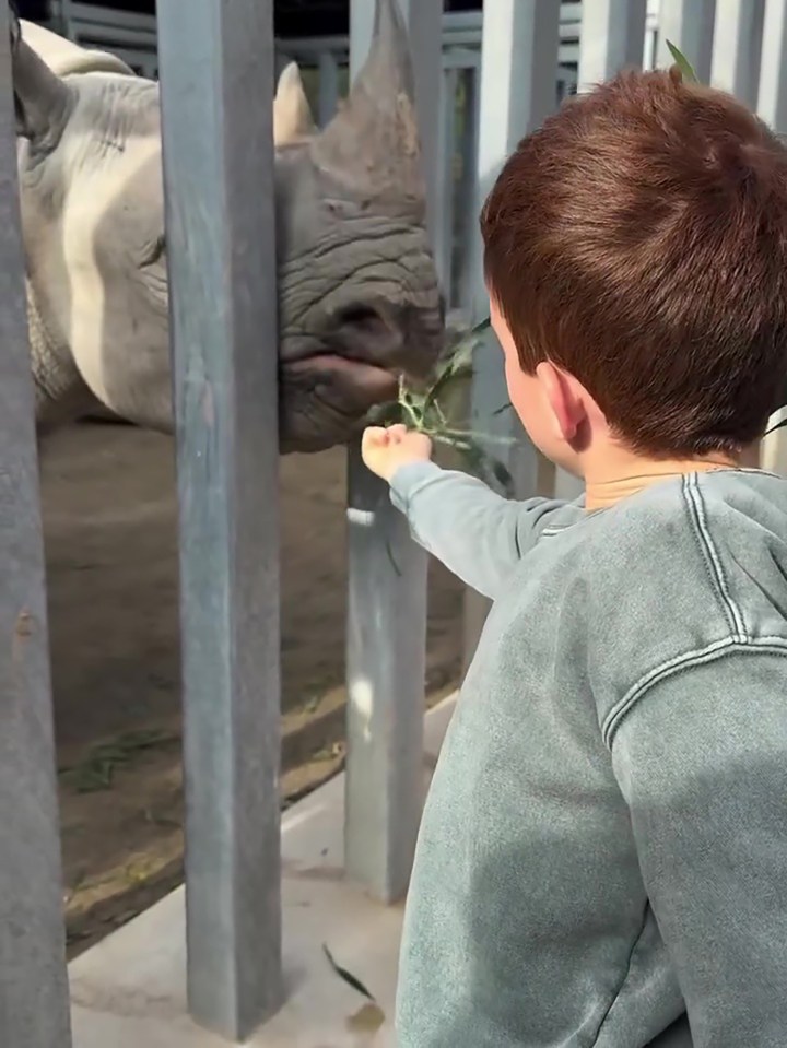 ميغان ترسم ملامح السعادة العائلية عبر الحدود