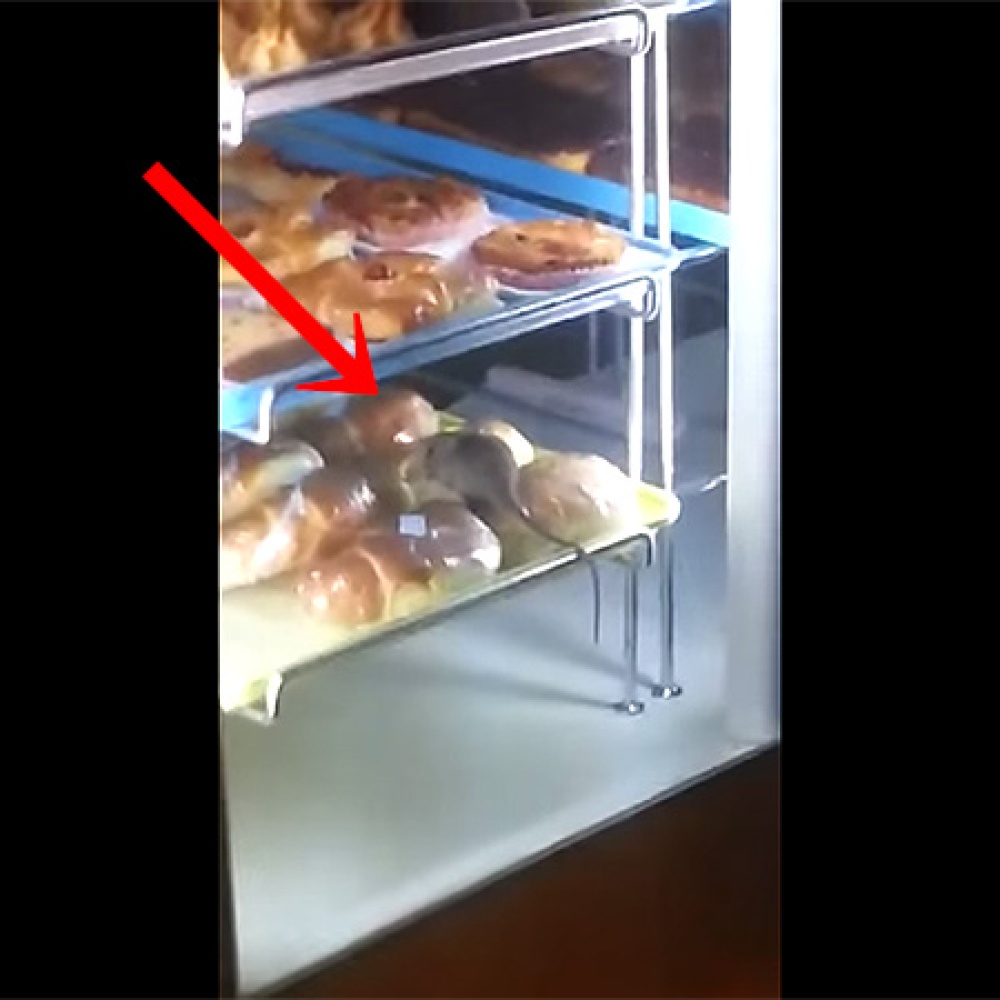 بالفيديو: فأر يأكل من دونات في متجر شهير في جدة