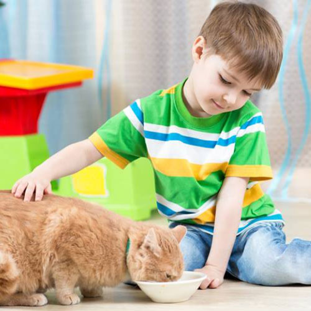 للأم.. أسباب خطيرة تمنعك من تربية القطط في المنزل