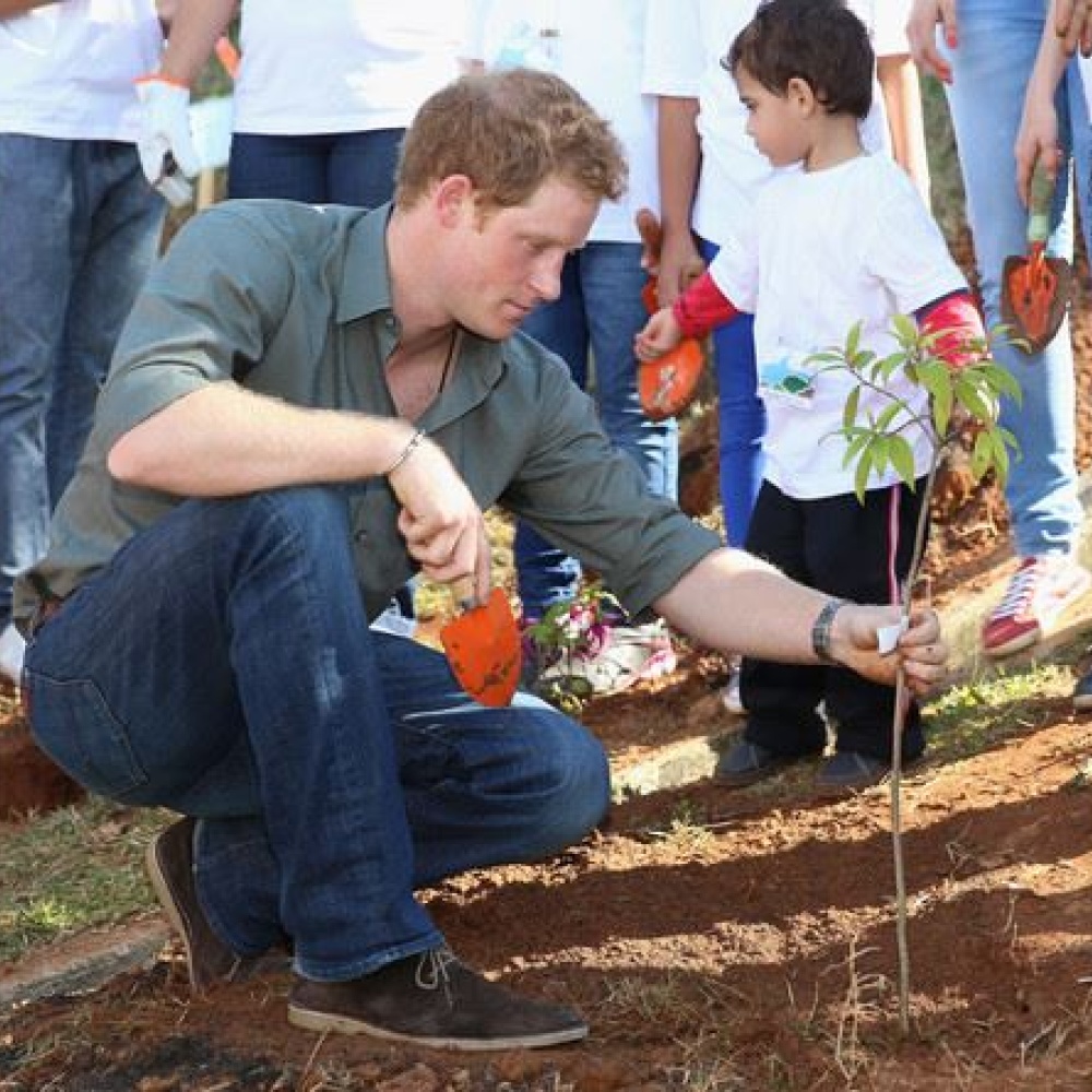 على خطى والدته الأميرة ديانا .. الأمير هاري يزرع نبتة في إحدى القرى في البرازيل