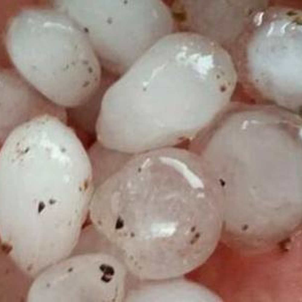 أمطار غزيرة وبَرَد في المنطقة الوسطى بإمارة الشارقة 