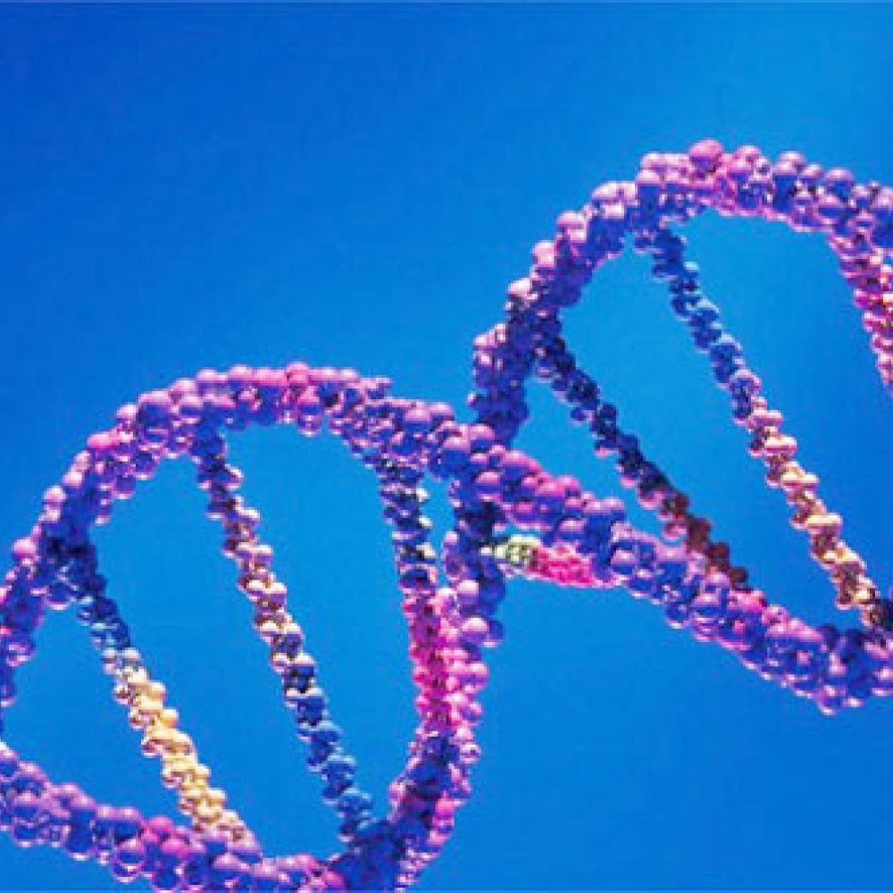 العلماء يكتشفون "عقدة" بالـDNA تحدد موعد الوفاة