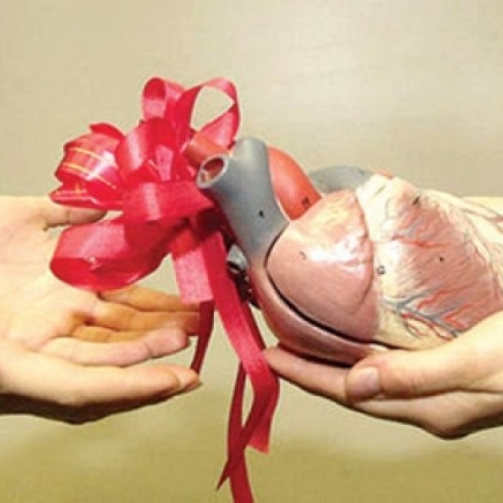 سعودية تتبرع بكليتها لشقيق زوجها