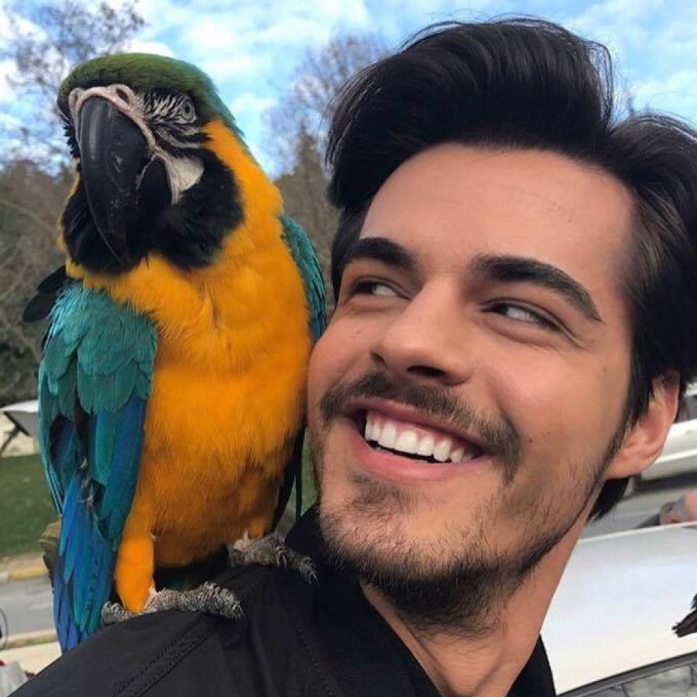 صورة ظريفة لبطل مسلسل بنات الشمس بريك أتان مع البغبغاء