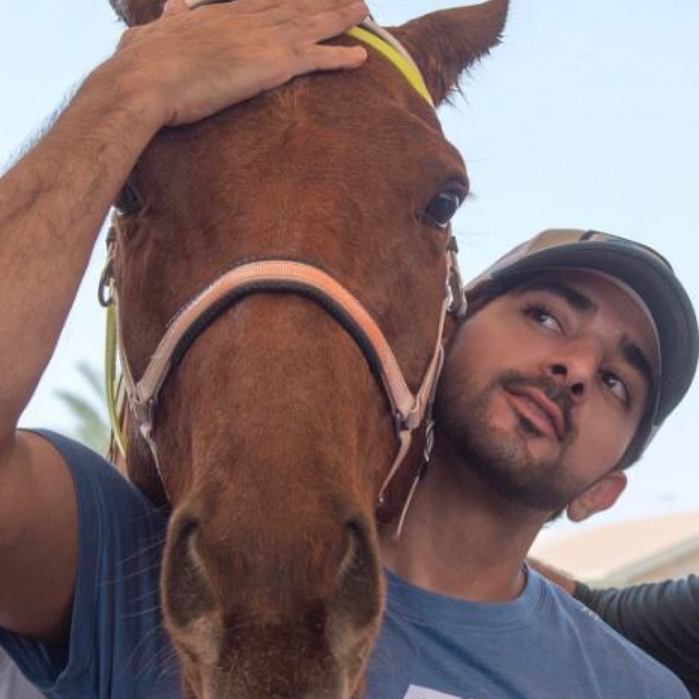 أحدث صورة نشرها الشيخ فزاع على حسابه على الانستقرام الخيل صديقه المفضل