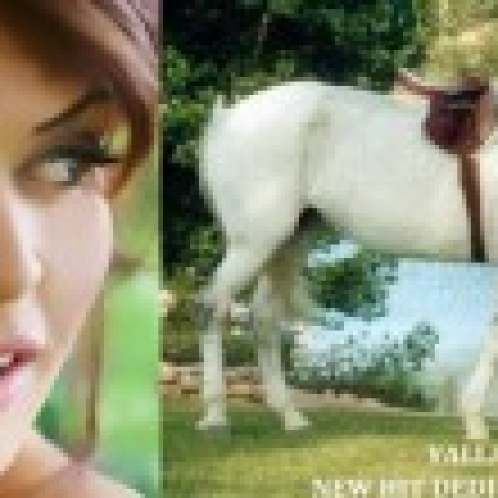 نادين صعب..  يلا حبيبي تعا   