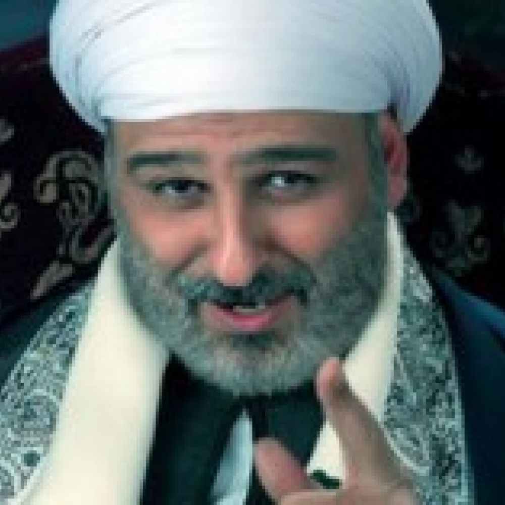 جمال سليمان يجوع ضياء الميرغنى   