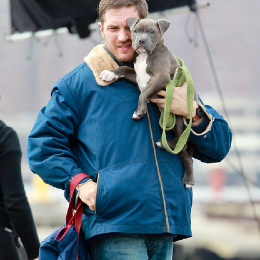 الممثل البريطاني Tom Hardy مع كلبه