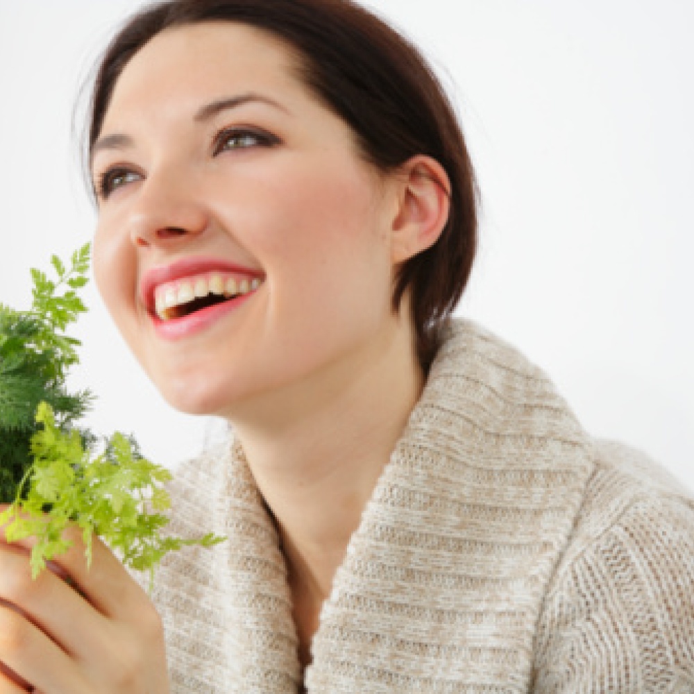 الريحان... عشبة مليئة بالفوائد الصحية