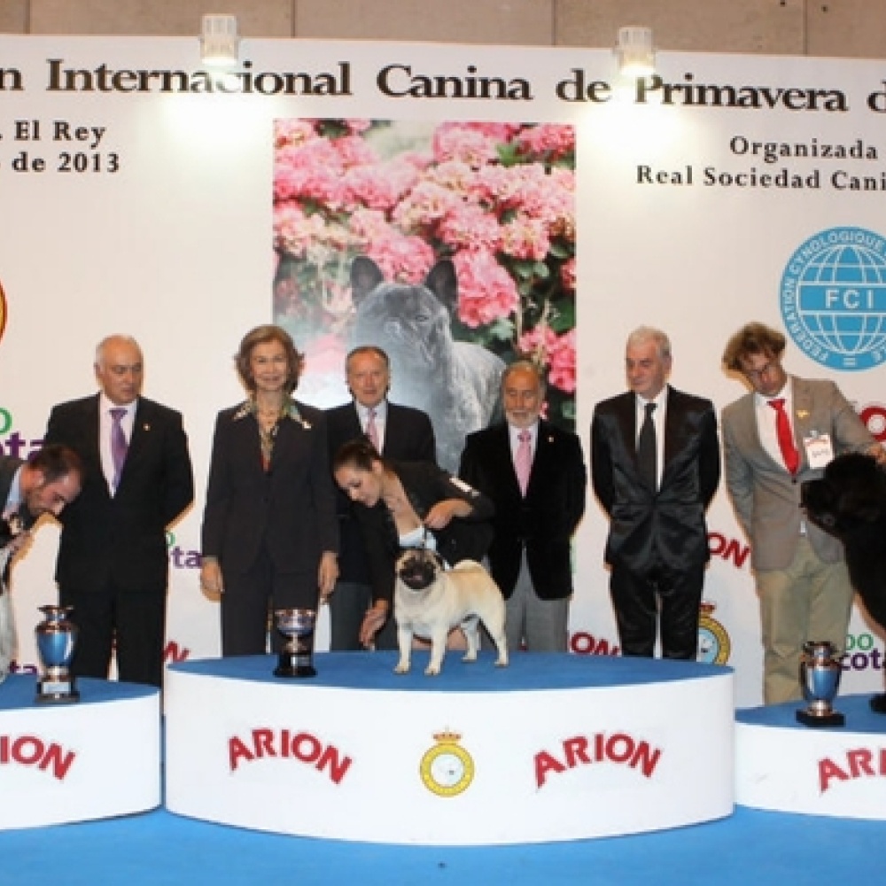 الملكة صوفيا تحضر العرض الدولي 85 Canina de Primavera
