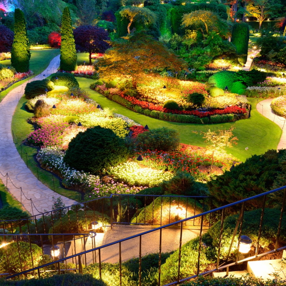 شهر عسل في جزيرة فانكوفر