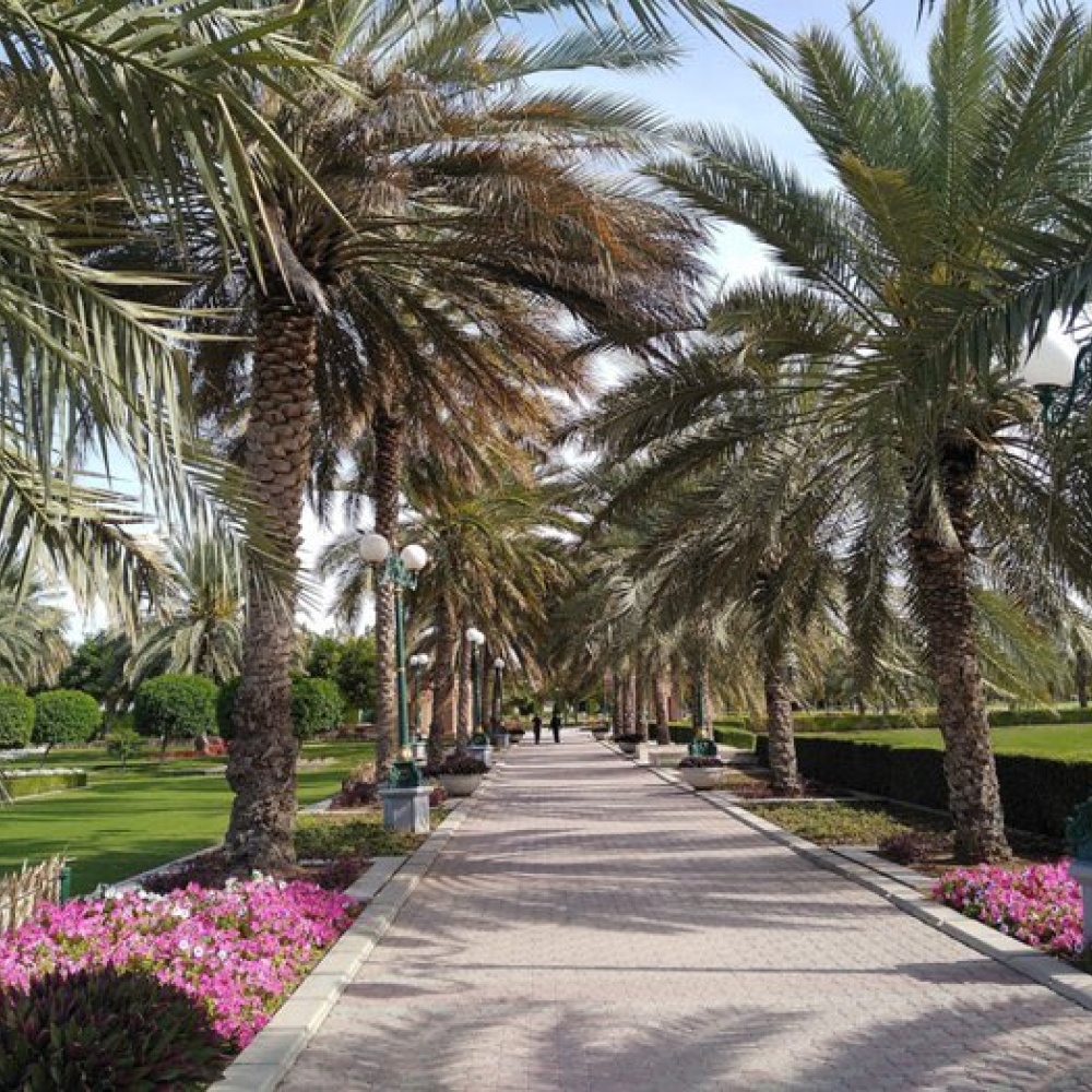 حديقة العليا Olaya Park