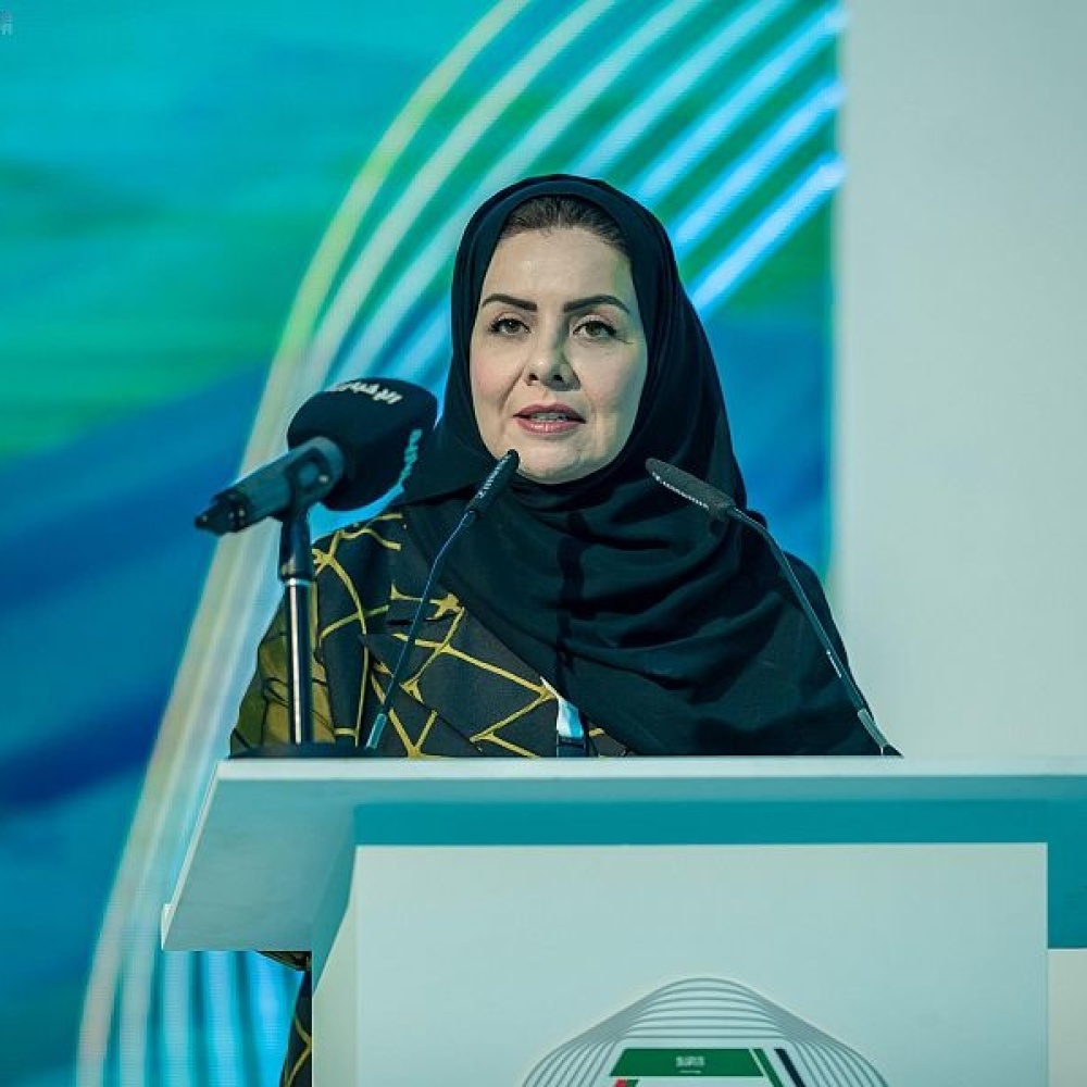 أمر ملكي بتعيين الدكتورة هلا التويجري رئيسة لهيئة حقوق الإنسان
