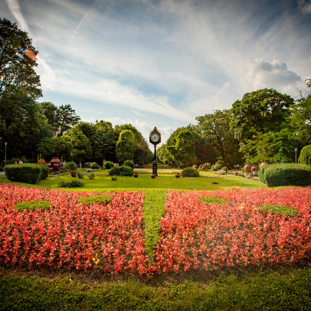 الحديقة النباتية من أجمل الأماكن السياحية في بوخارست بواسطة Erik Törner