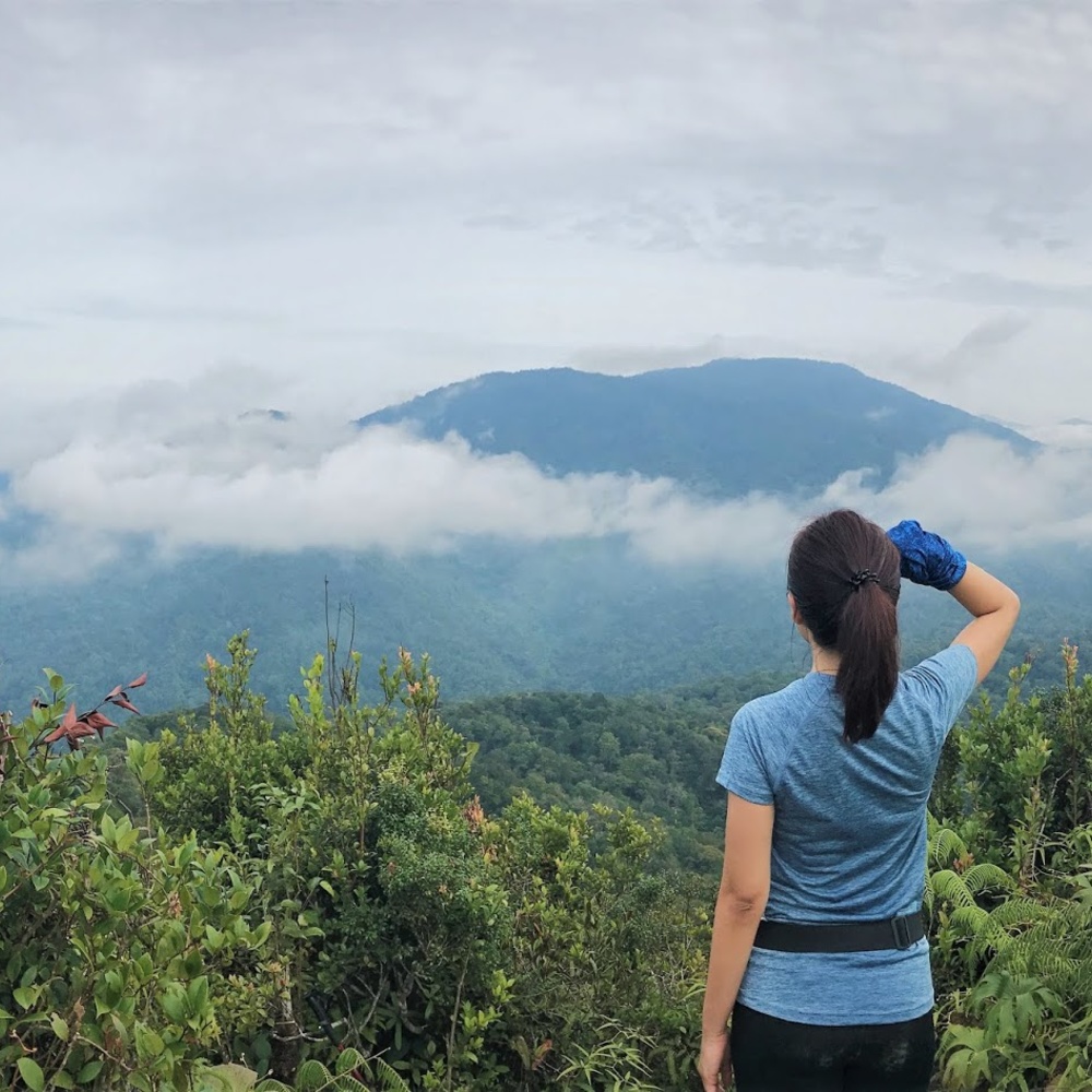 مسار جبل سيمانجكوك Mount Semangkok
