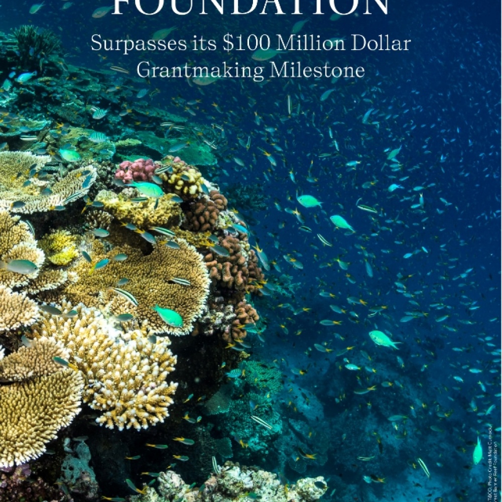 Tiffany & Co تتبرع بأكثر من 100 مليون دولار للحفاظ على الطبيعة