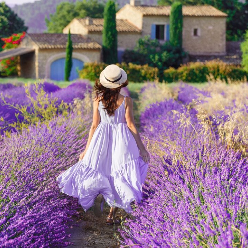 بروفنس، فرنسا