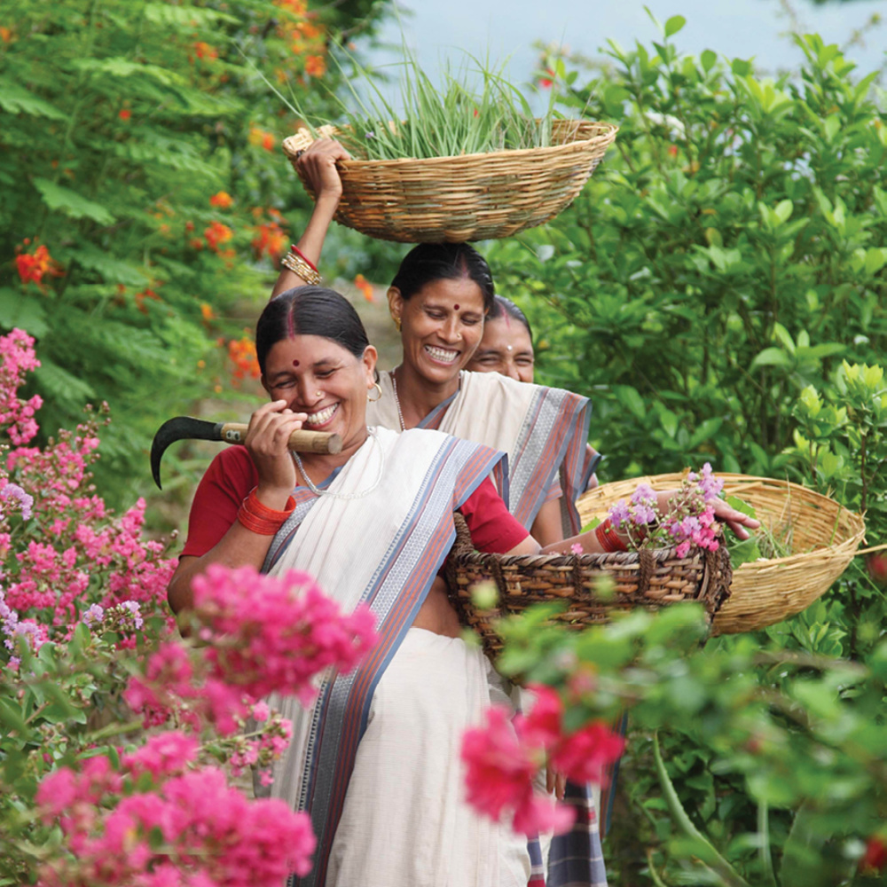 علامة Forest Essentials تُعيد إحياء علم الأيورفيدا التقليدي .. رحلة مميزة إلى الهند لاستكشاف أسلوب حياة استثنائي