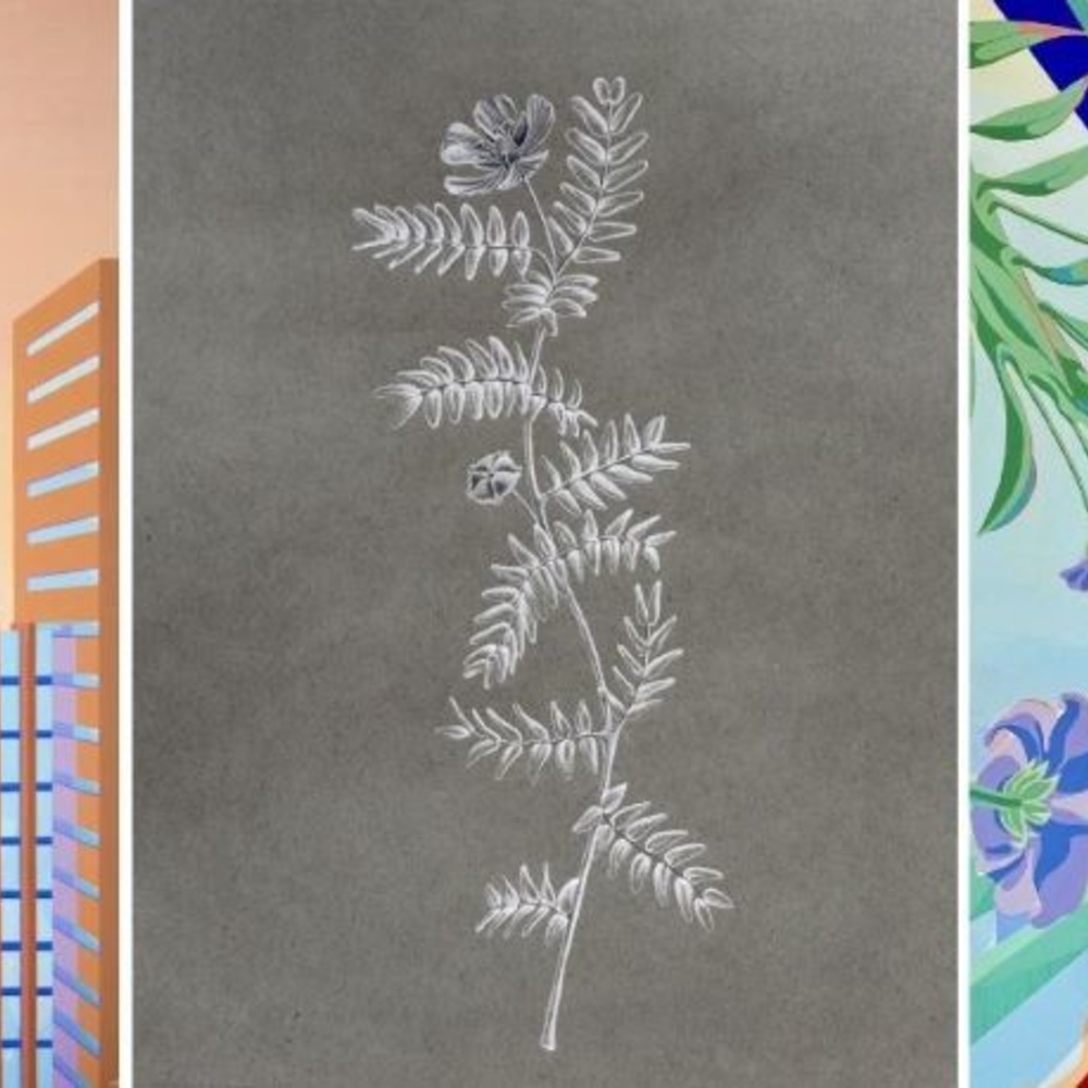 الفنانة مريم عباس تطلق معرضها الفني TERRA EPHEMERA