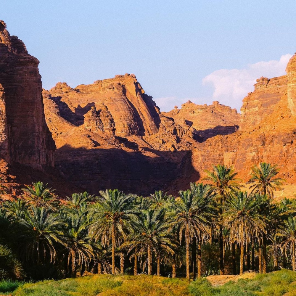 لأول مرة .. فريق نسائي ينضم لـ حماة الطبيعة ضمن محميات العلا
