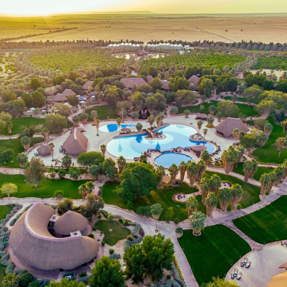 احتفلي بالعيد في أحضان الطبيعة.. 5 وجهات ومحميات طبيعية لا تفوتي زيارتها في العيد بالمملكة