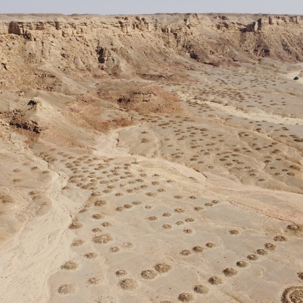 المملكة تُسجّل المنظر الثقافي لمنطقة الفاو الأثرية في قائمة التراث العالمي لليونسكو