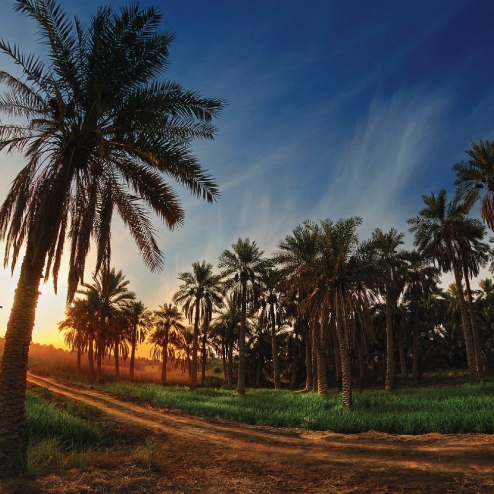 8 مواقع تراثية سعودية مسجلة في قائمة التراث العالمي لليونسكو