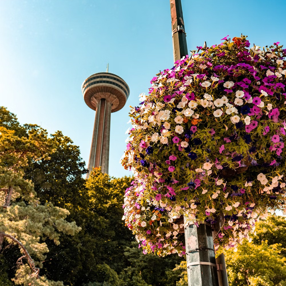 حديقة برج الزهور (Flower Tower Park)