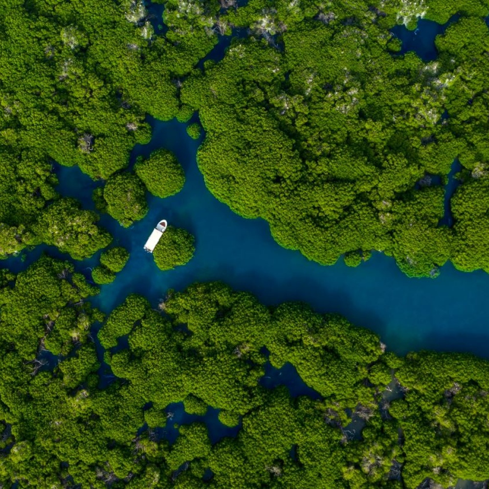 أبحروا بين جمال الطبيعة البكر في جزر فرسان.. إليكم أجمل التجارب