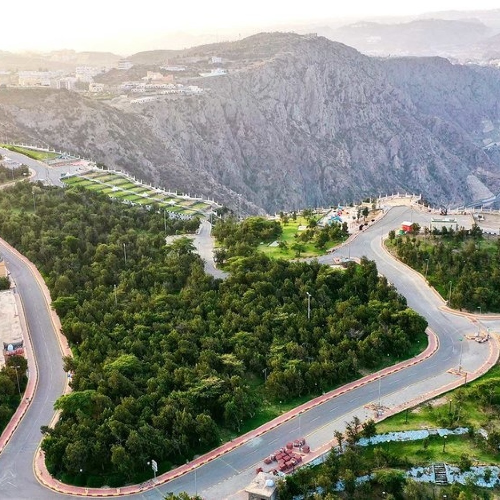 رحلة إلى قلب الطبيعة.. 7 مغامرات مثيرة في غابة رغدان