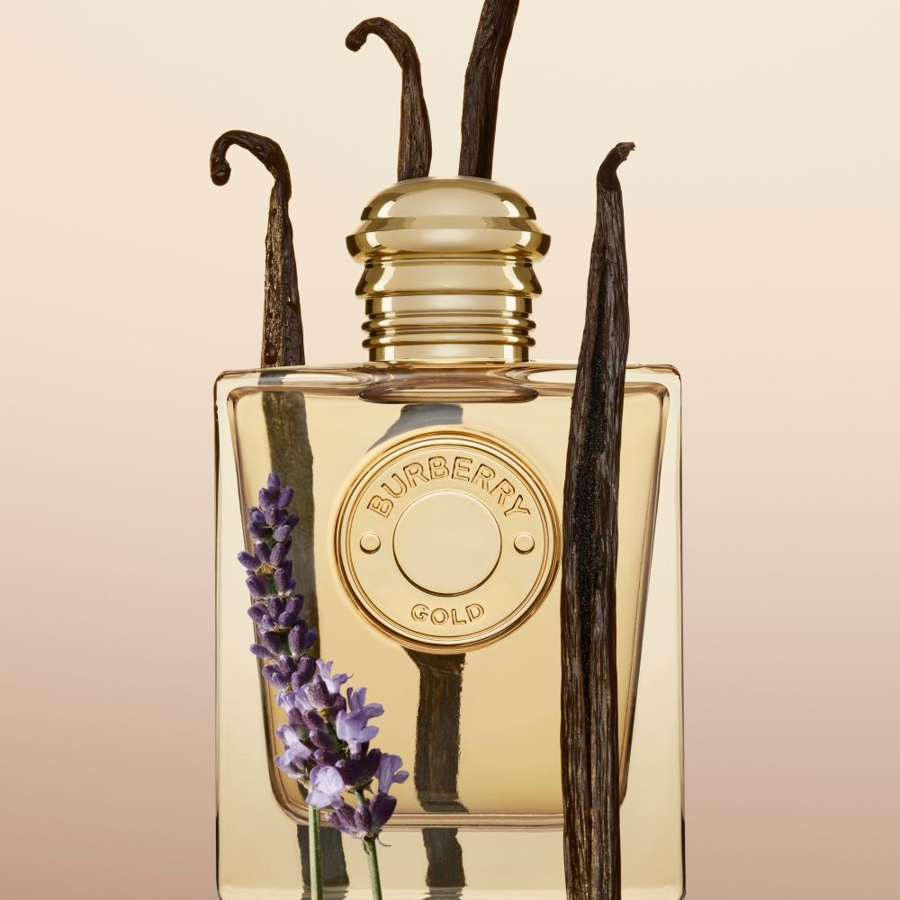 العطر الجديد BURBERRY GOLD المركّز