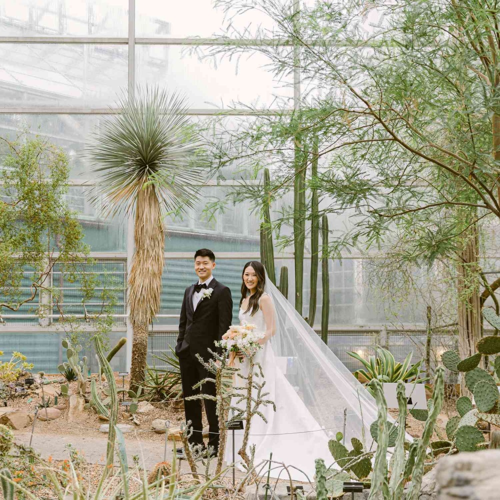 حفلات الزفاف بثيم نباتي والمستوحاة من جمال الطبيعة