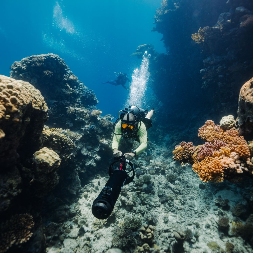 اكتشفوا البحر الأحمر مع حملة "ماله حد".. 8 مغامرات استثنائية في قلب البحر الأحمر