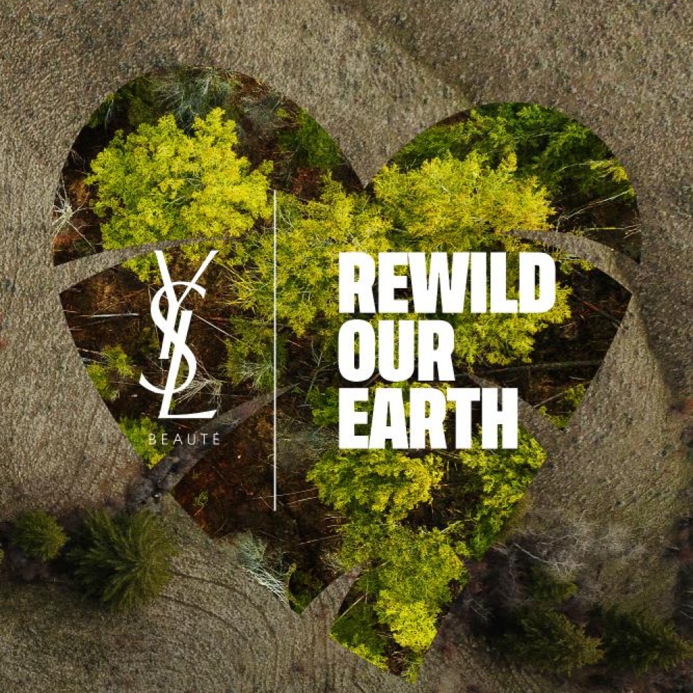 برنامج جديد من "إيف سان لوران بيوتي" لإعادة الحياة البرية عالميًا