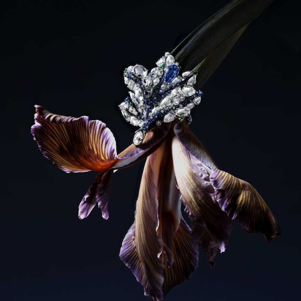 Moodshot