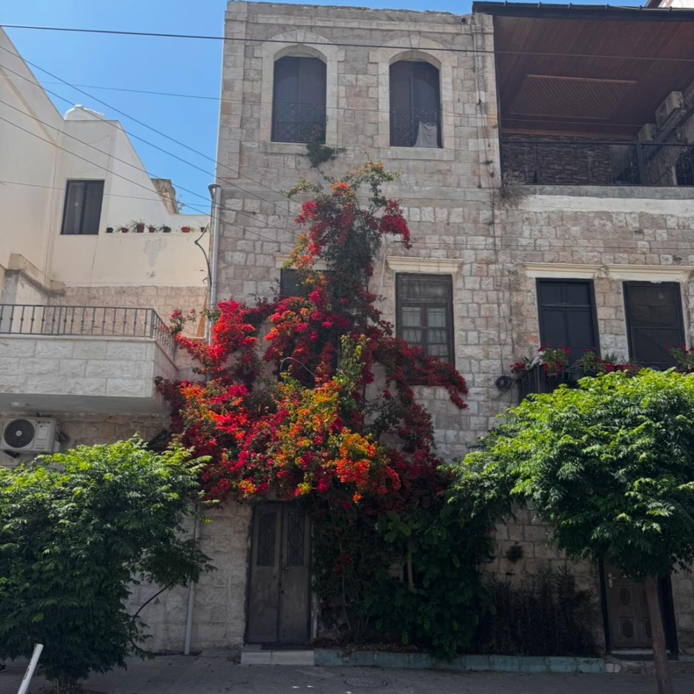 يوت ثقافية في عمّان