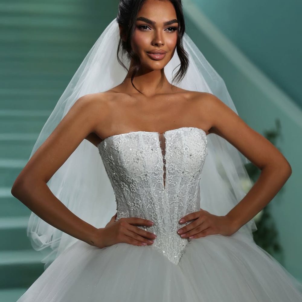 خصر الباسك في عروض Vladiyan Royal Dresses