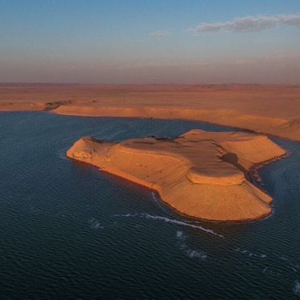 استكشافات لا تُنسى مزارع خضراء وكشتات برية
