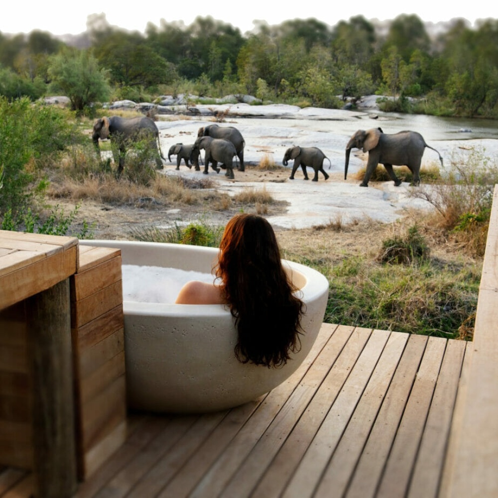 منتجع محمية لوندولوزي الخاصة للحيوانات البرية Londolozi Private Game Reserve
