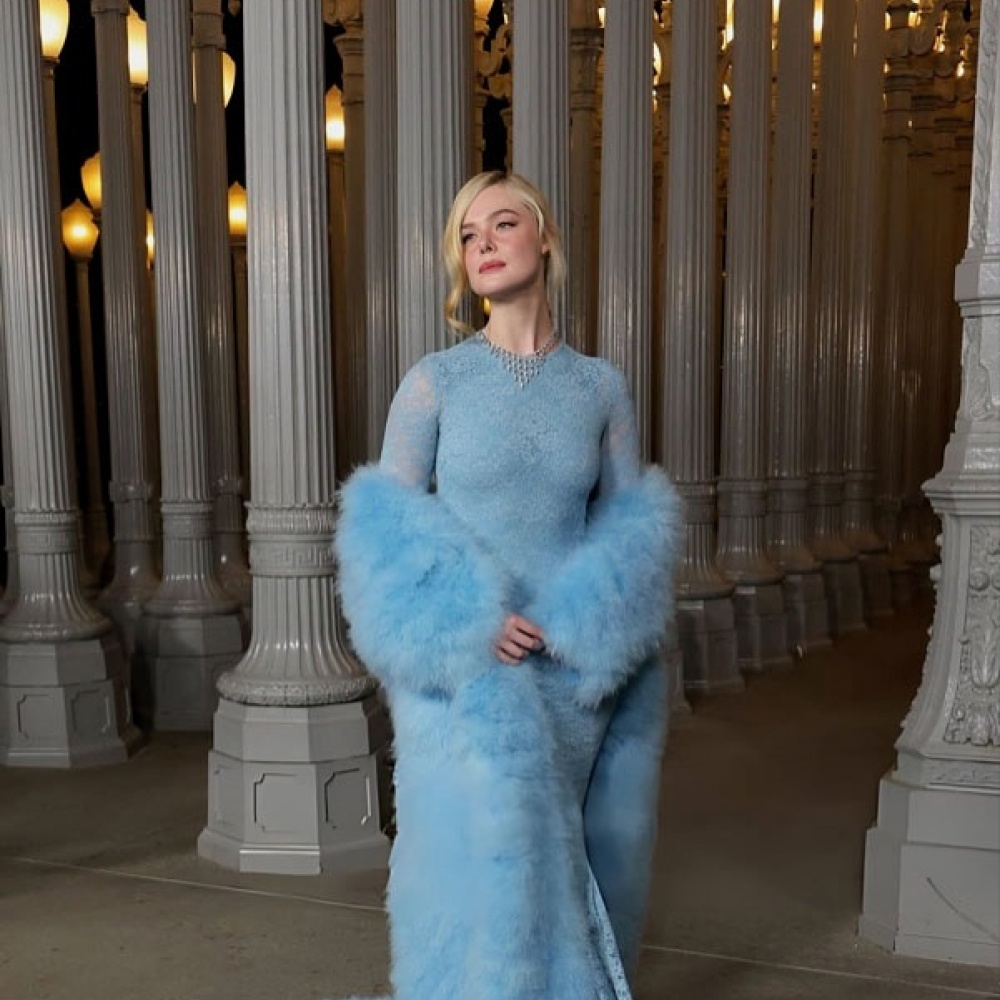 إيل فانينغ بفستان طويل بالأكمام الطويلة