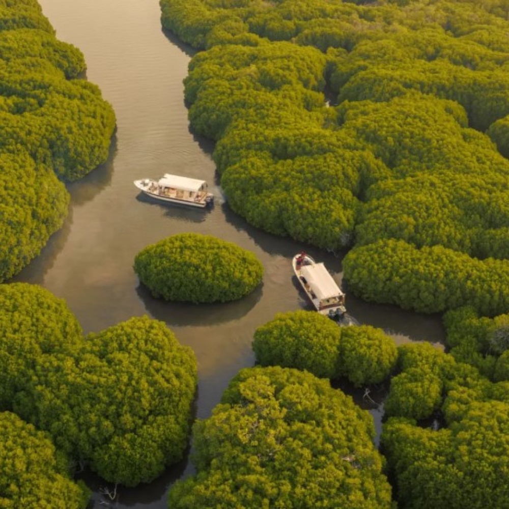 10 وجهات شتوية غير تقليدية يمكنكم الاستمتاع بزيارتها في المملكة