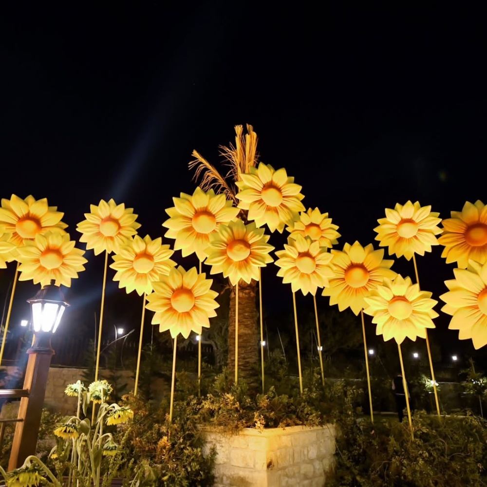 دوار الشمس حاضر في أعراس الخريف