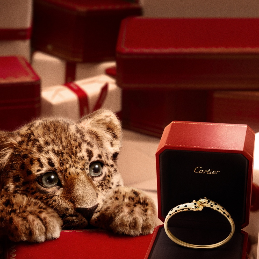 سوار بانتير الفاخر