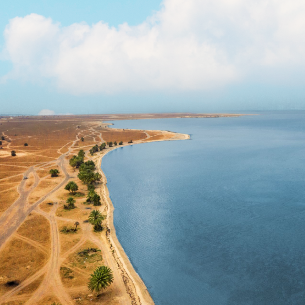 شاطئ العقير