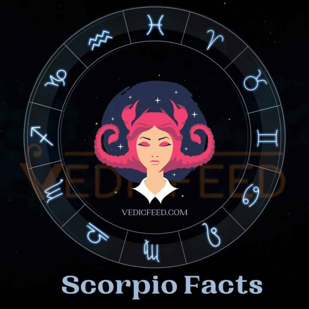 في موسم العقرب.. لنحضر كل الدفاتر القديمة ونفتح صفحة جديدة