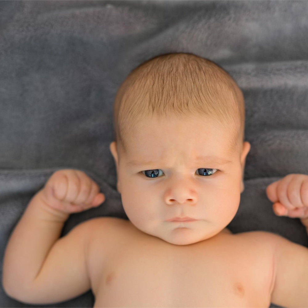 أسماء أولاد مستوحاة من الحيوانات القوية والشجاعة