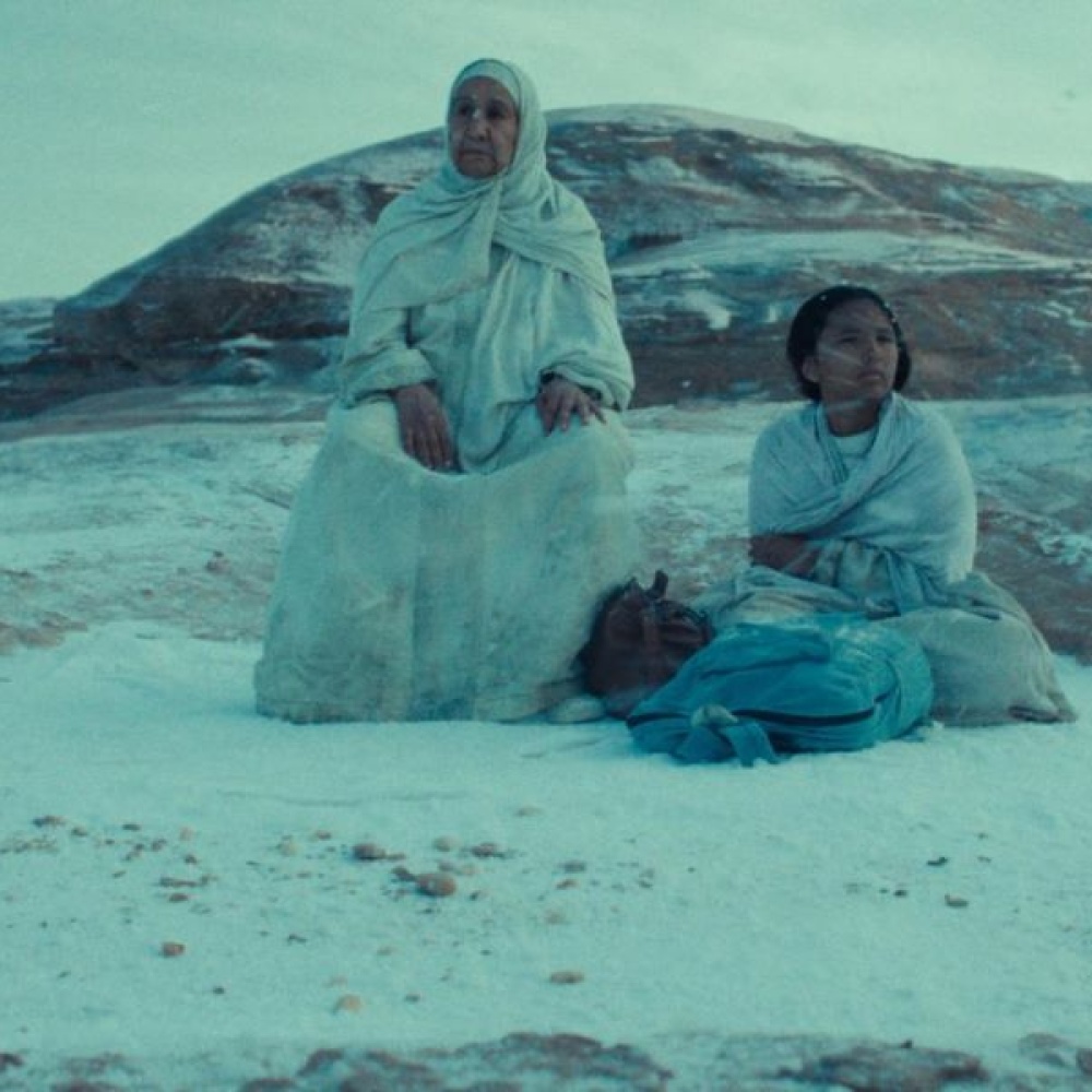 فيلم هجرة للكاتبة والمخرجة شهد أمين 