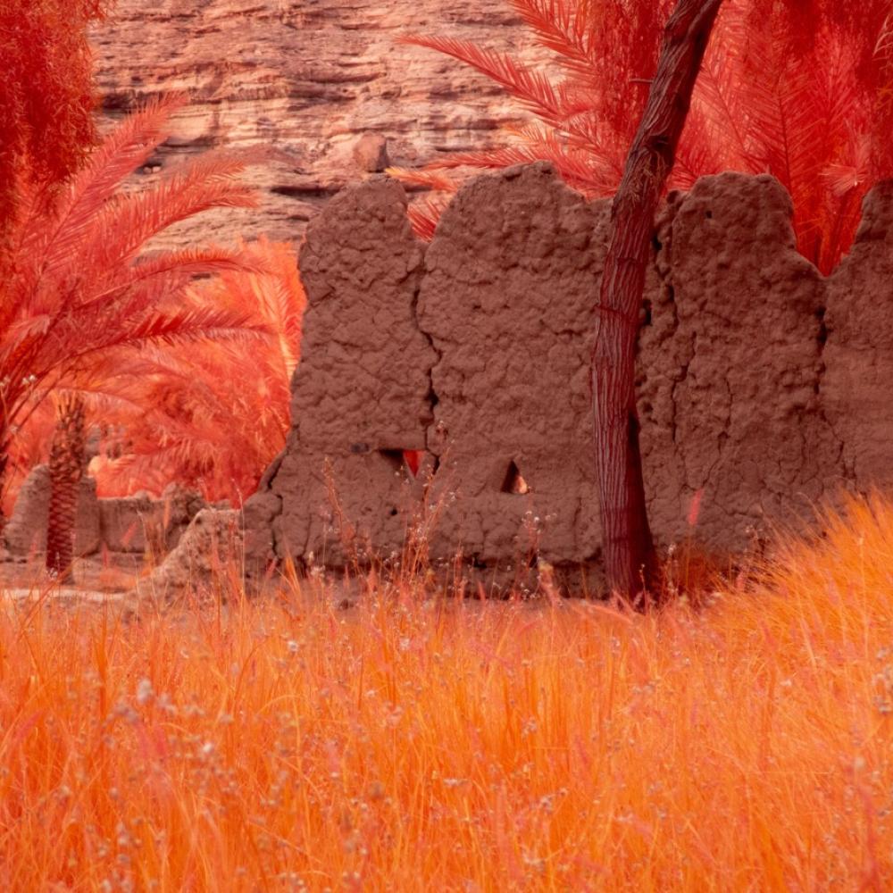 رحلة تجدد في العُلا.. حين تتنفس الروح وسط سكون الصخور