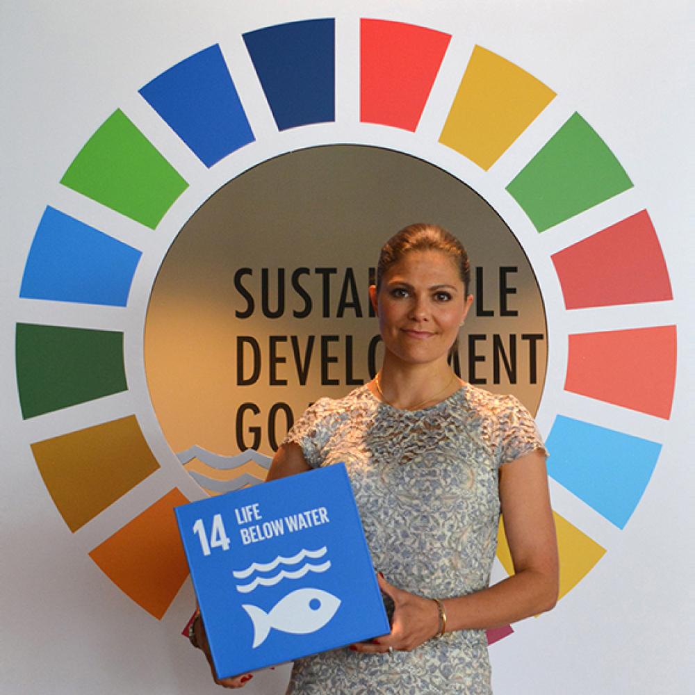 الأميرة فيكتوريا رائدة الاستدامة وحماية المحيطات