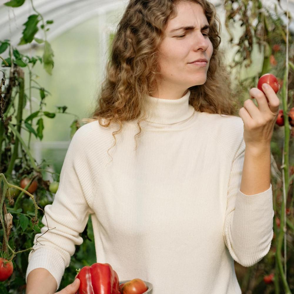 الهرم الجديد يهزّ عرش الهرم الغذائي التقليدي.. إليكِ التفاصيل